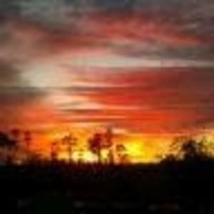 Meet your Posher, Michelle donovan